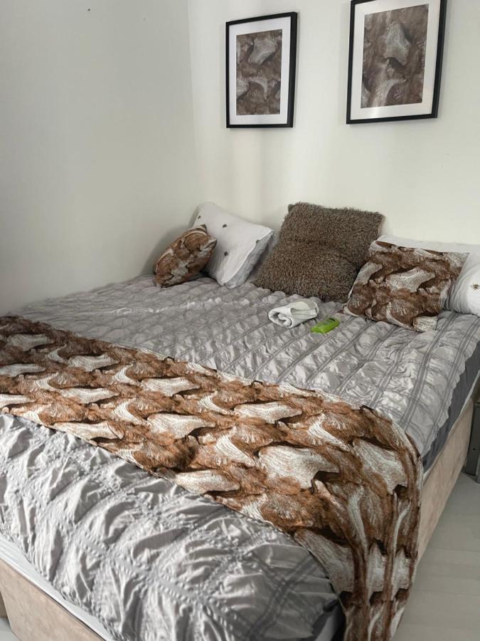 Spacious One Bedroom Ft In Central London King'S Cross Exteriör bild
