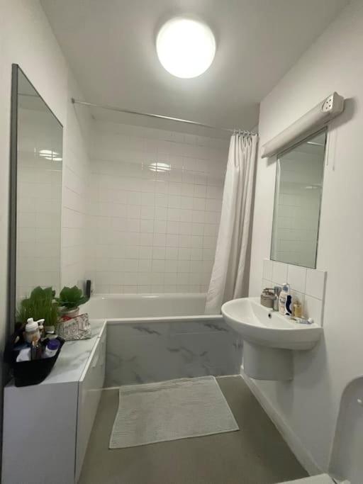 Spacious One Bedroom Ft In Central London King'S Cross Exteriör bild